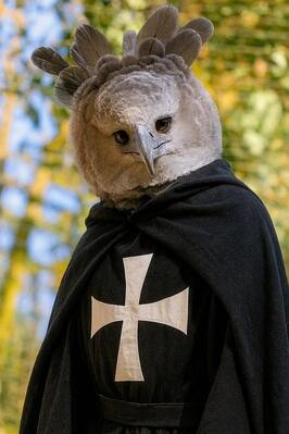 Quattro Formaggi - Vallheru